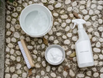 Comment nettoyer des galets blancs : eau et bicarbonate contre le voile vert
