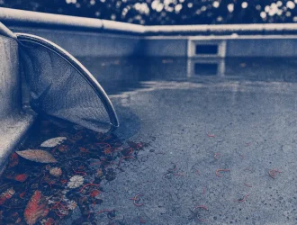 Petit vers dans la piscine : filaments rouges près du dépôt de feuilles
