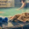 Aquagym cholet : séance en piscine chauffée, aquagym douce